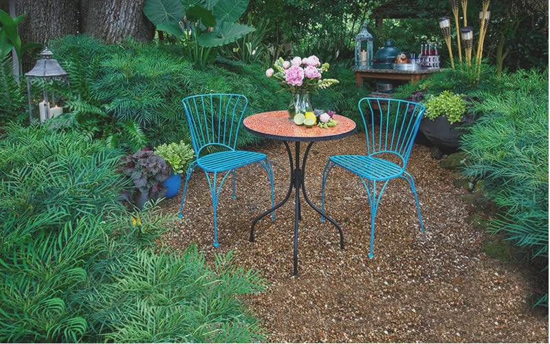 Soft Caress Mahonia - 1 Gallon Pot - Image 4